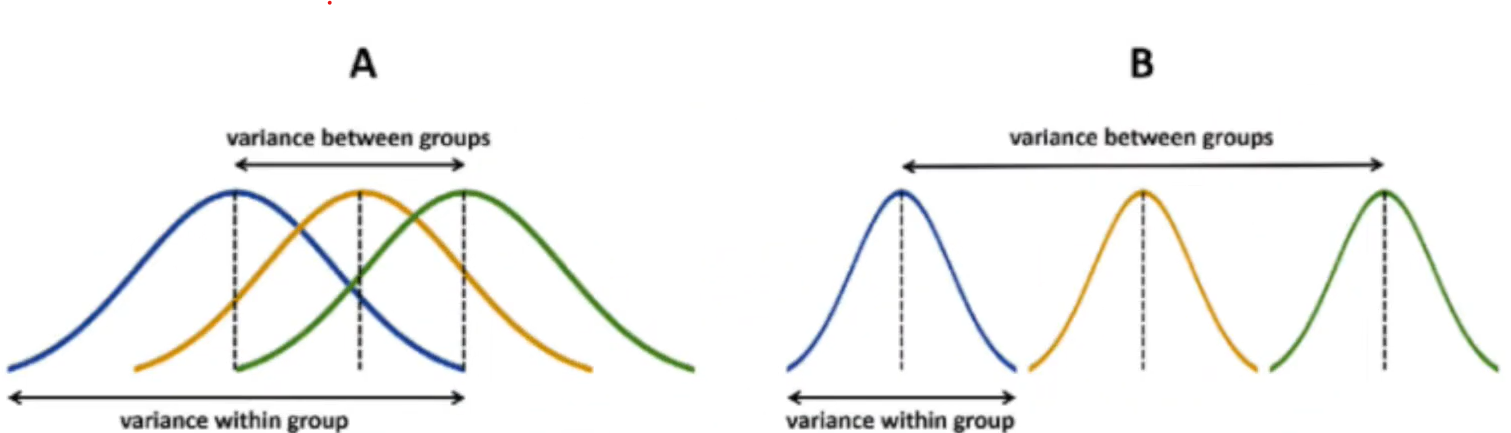 image-20251202104335766